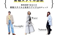 シェルター　骨格診断